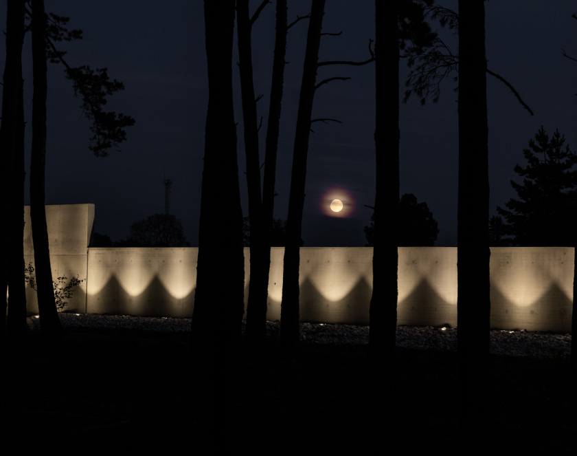 A night-time photograph; a section of a concrete wall and tree trunks, with a full moon above them.