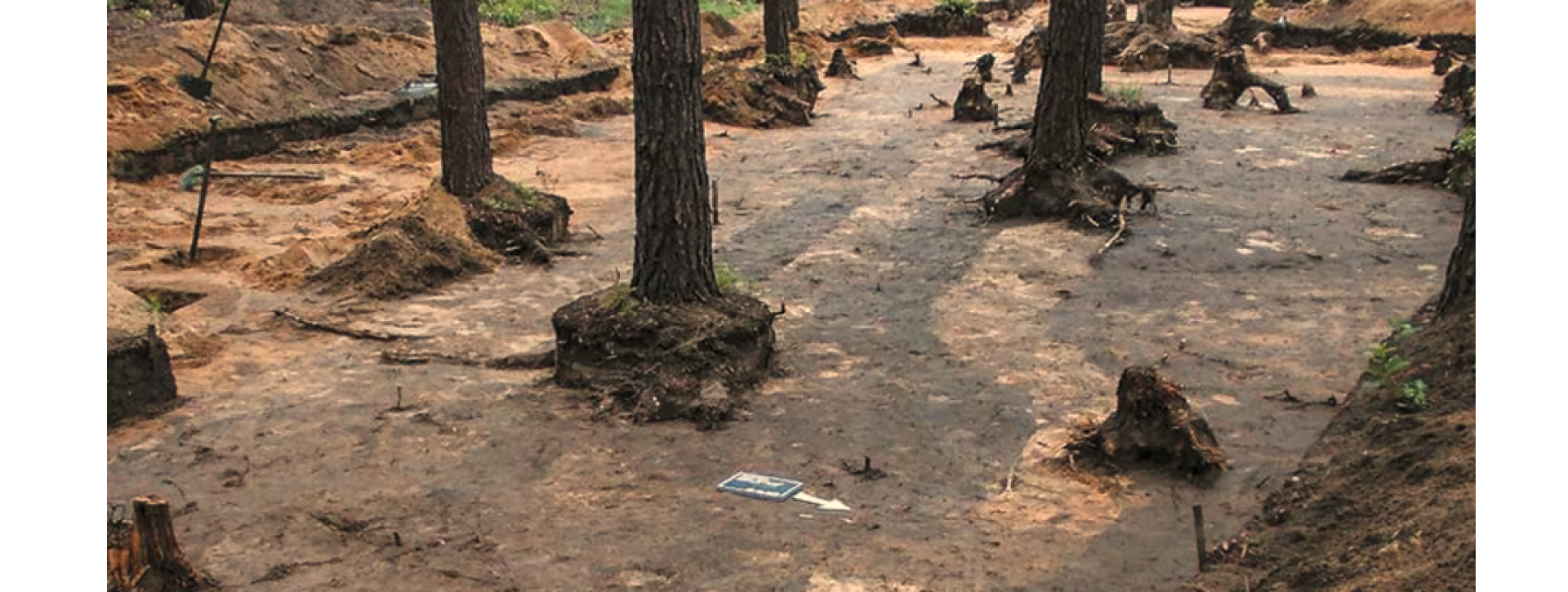 NIEUDANA PRÓBA UCIECZKI WIĘŹNIÓW Z SONDERKOMMANDO