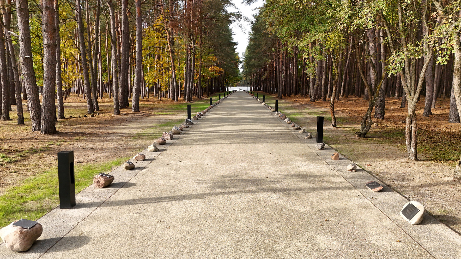 A path leading through the forest, with deciduous and coniferous trees on either side of the path, as well as stones bearing metal plaques.