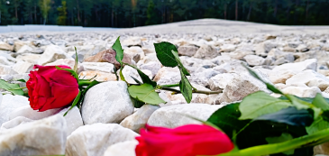 83. ROCZNICA WYBUCHU POWSTANIA 